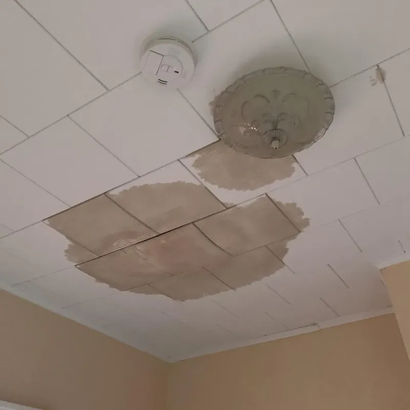 Ceiling Water Damage Repair in Columbia Heights, MN