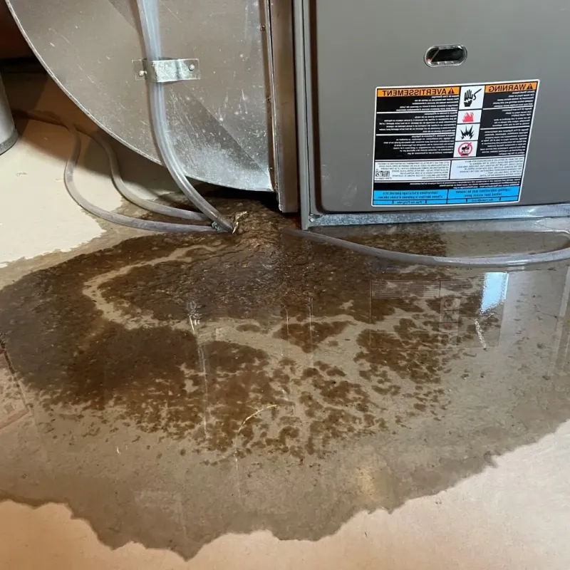 Pipe Burst and Leak Restoration in Columbia Heights, MN