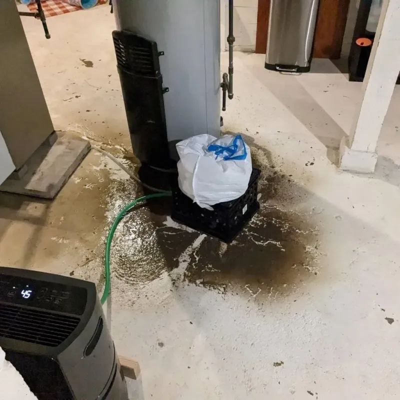 Sewage Backup Cleanup Service in Columbia Heights, MN